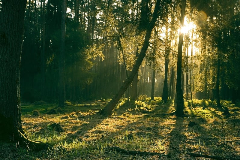 Mystical Light Effects